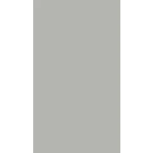 Paint Light Grey